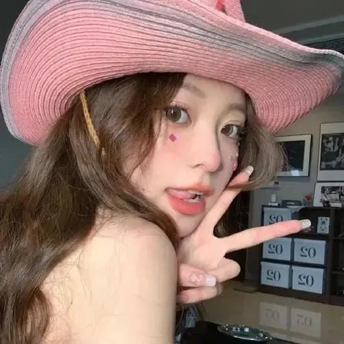 豺狼的日子