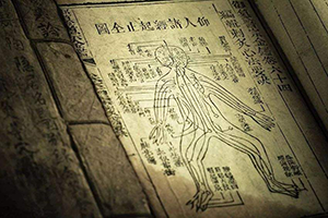 清代江南的瘟疫与社会