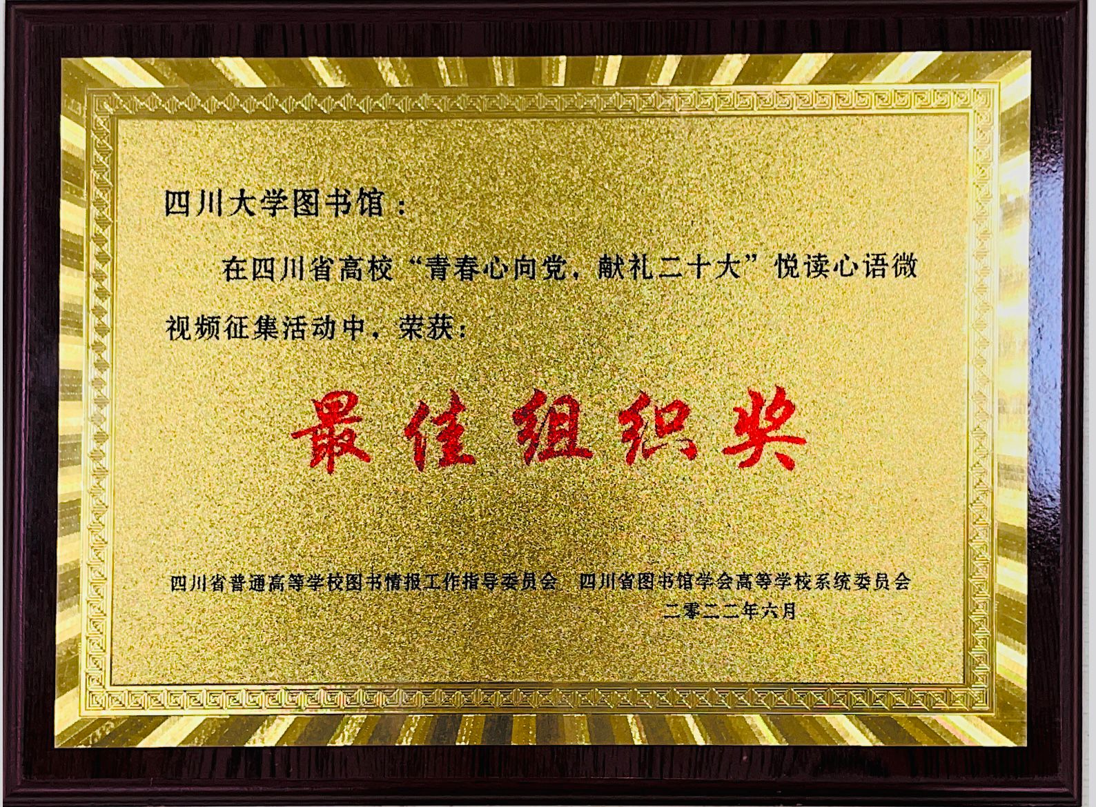 最佳组织奖