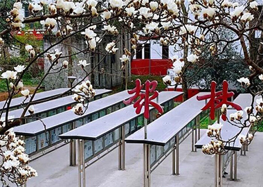 春日话“报林”